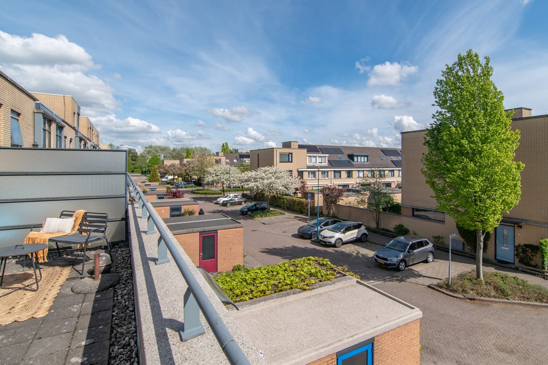 Photo 38 of Wengéhout 28