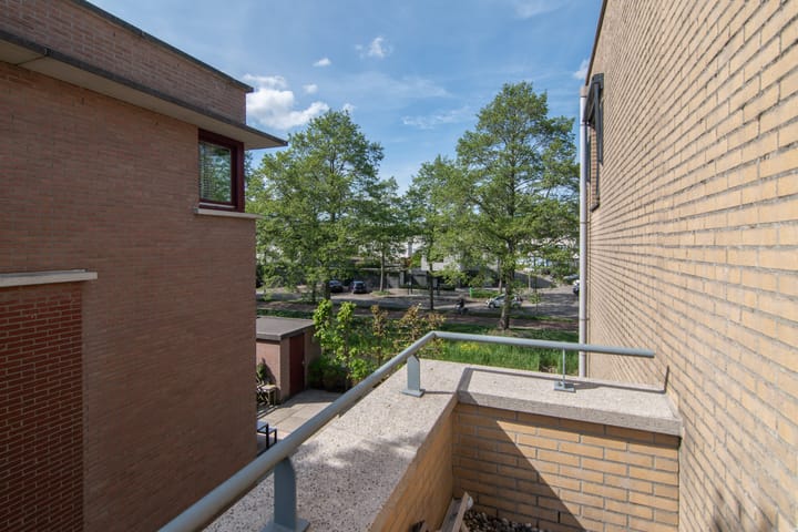 Foto 39 van Wengéhout 28