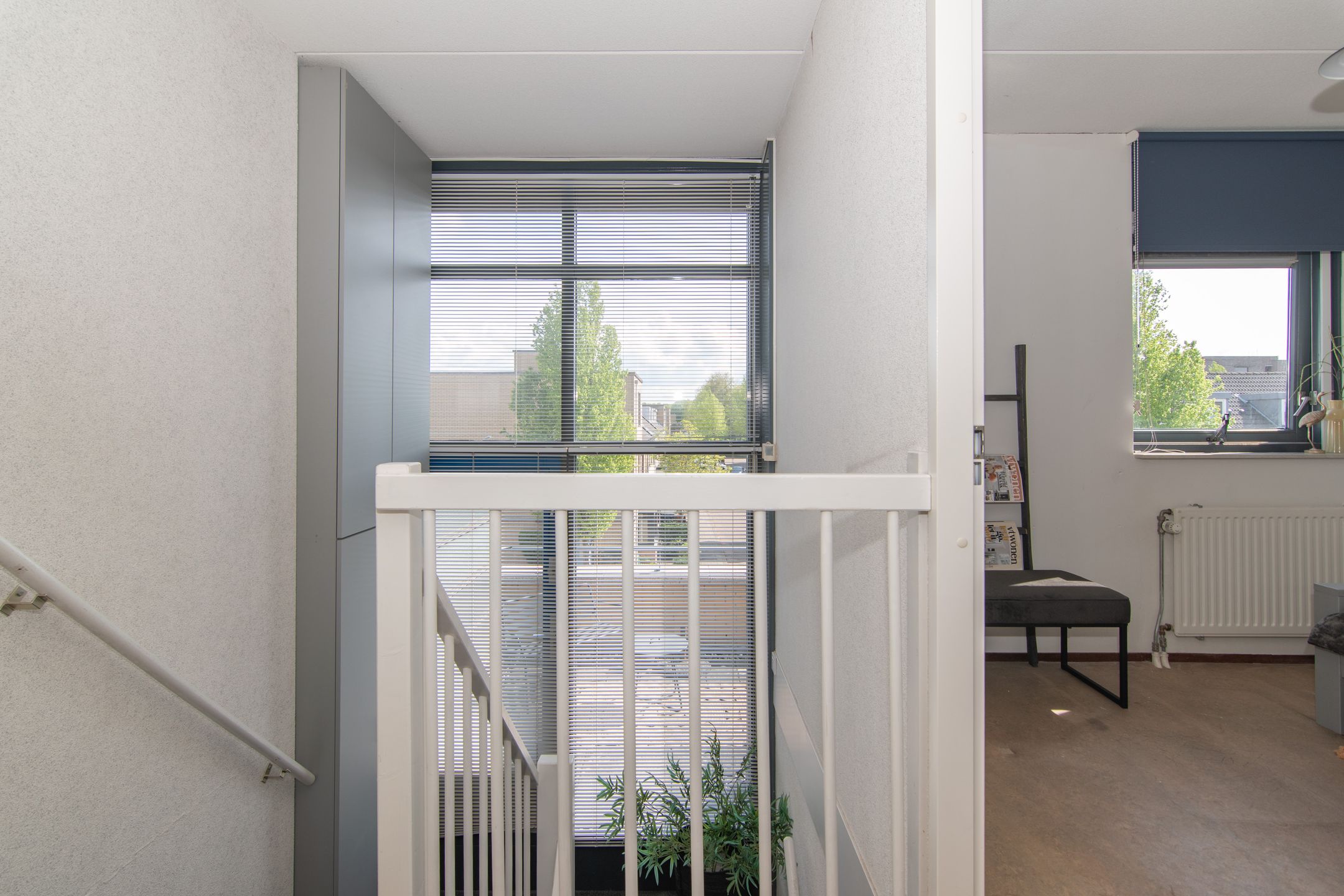 Photo 45 of Wengéhout 28