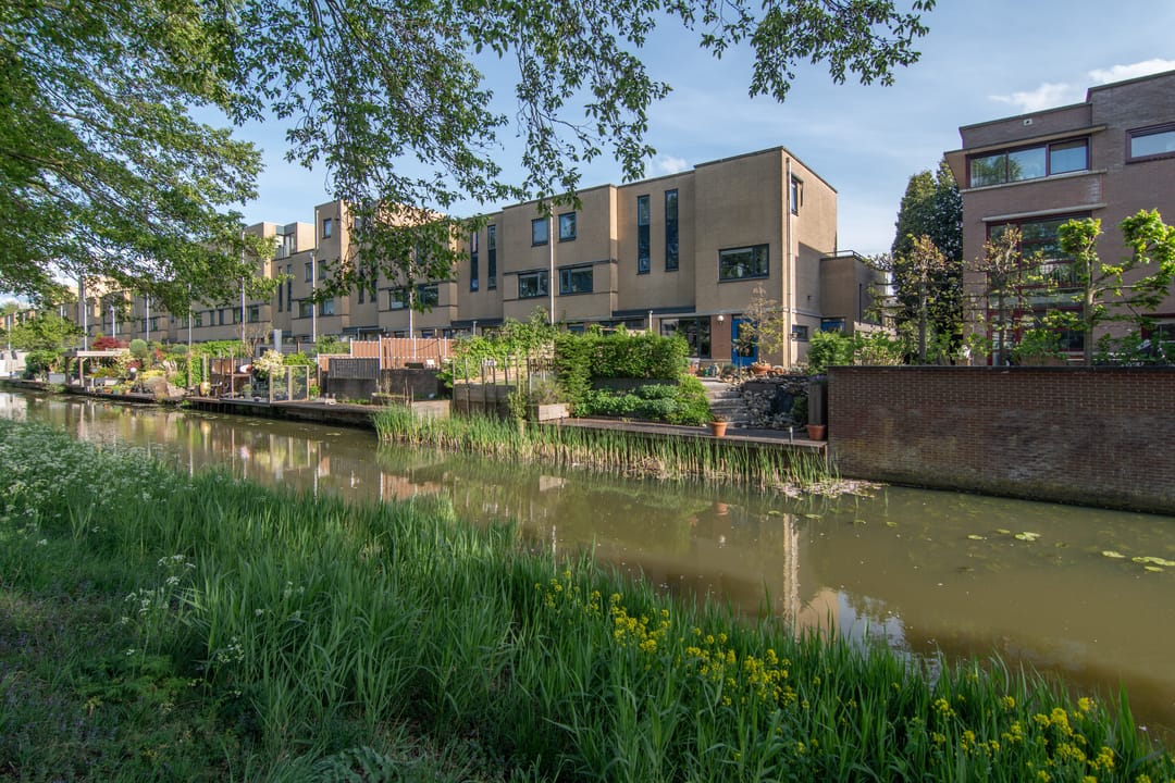 Photo 53 of Wengéhout 28