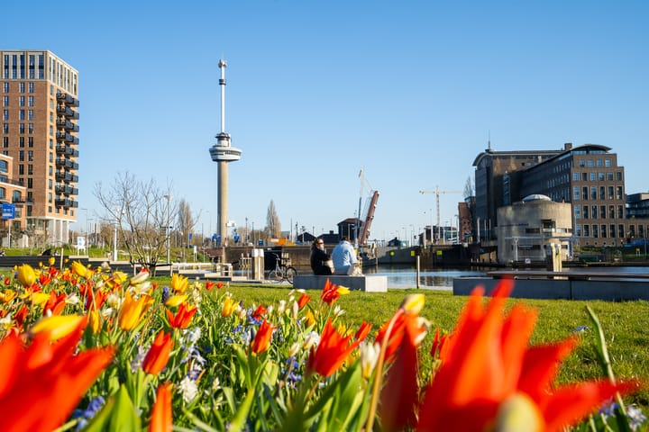 Foto 55 van Willem Buytewechstraat 93-B