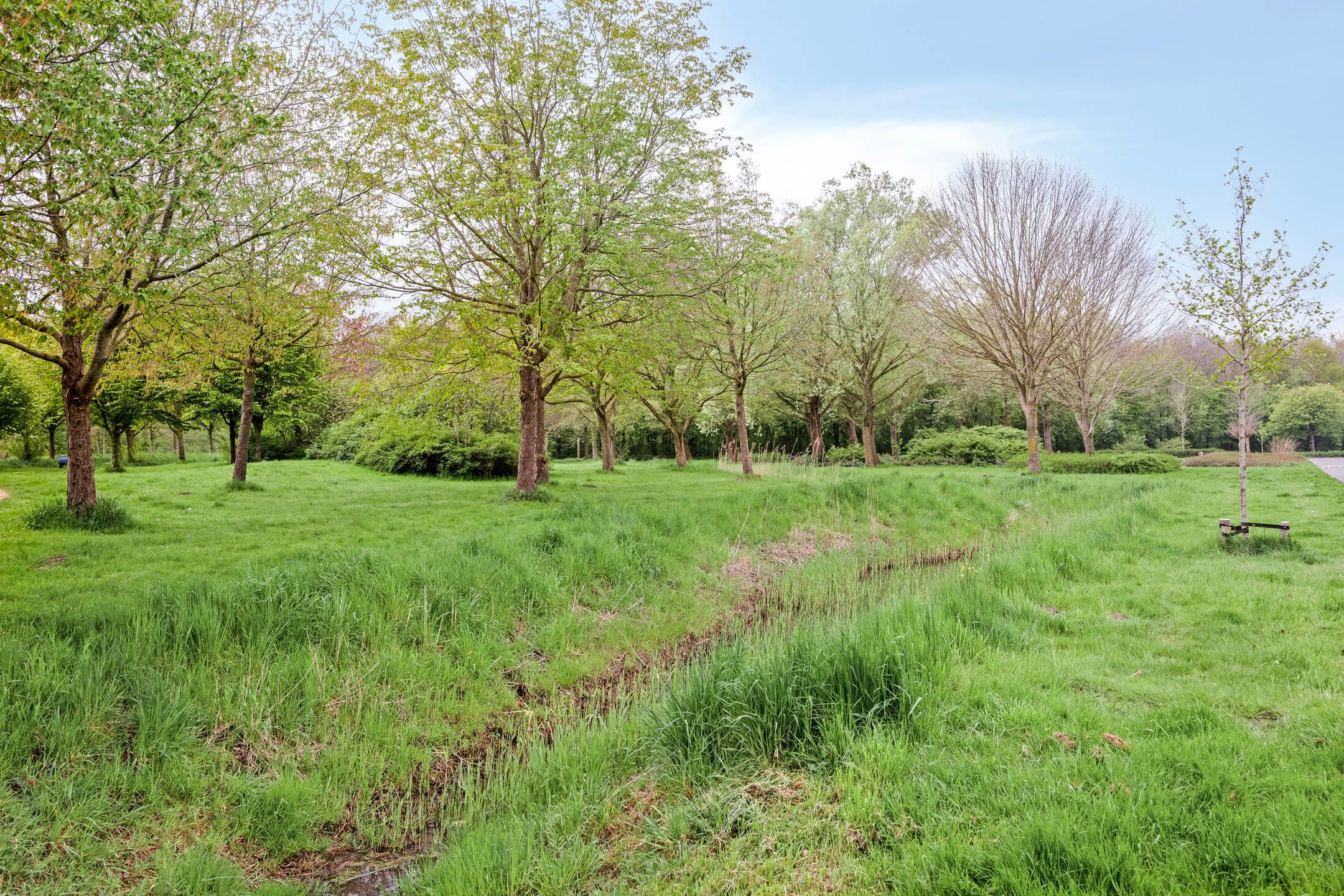 Foto 36 van Bloemenzoom 121