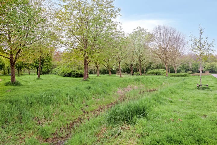 Foto 36 van Bloemenzoom 121