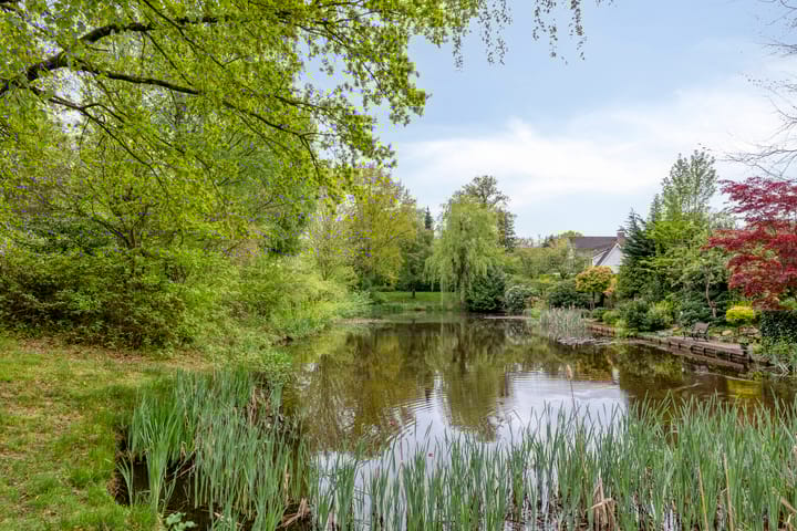 Foto 39 van Koningsvaren 9