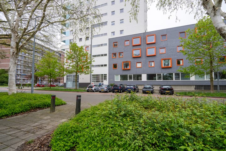 Foto 29 van Laan van de Vrijheid 116