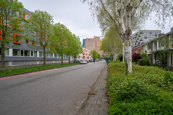 Foto 33 van Laan van de Vrijheid 116