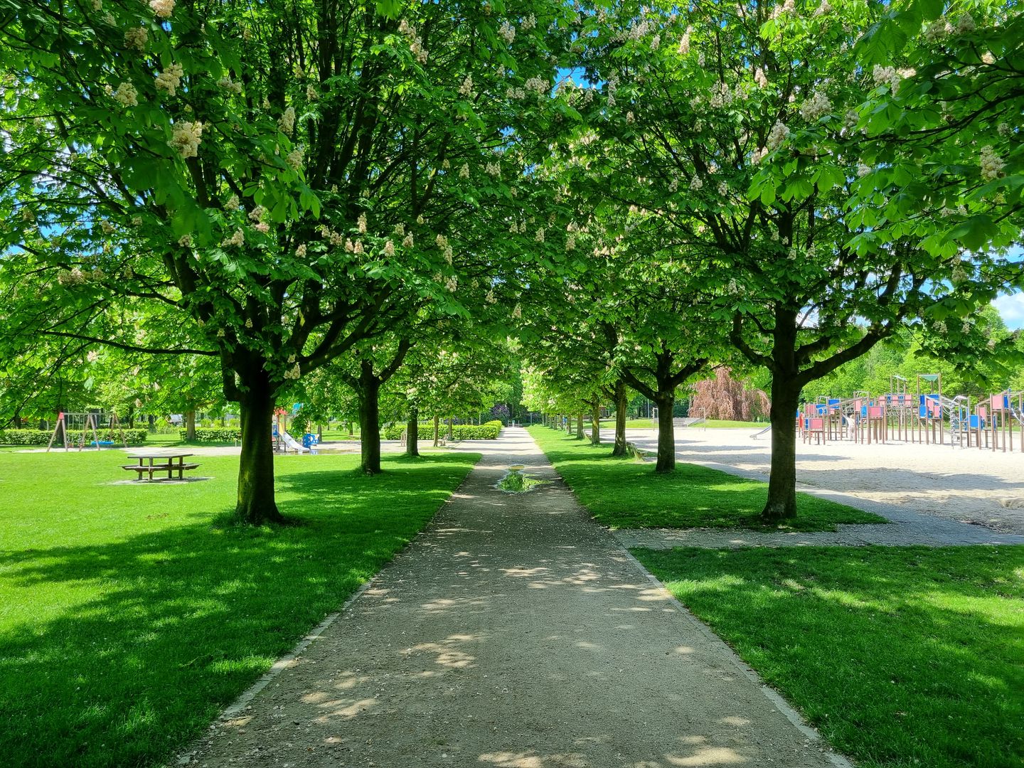 Foto 49 van Oranje-Nassaulaan 211