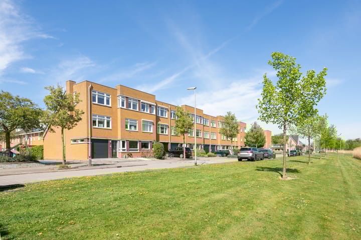 Tramwei 13