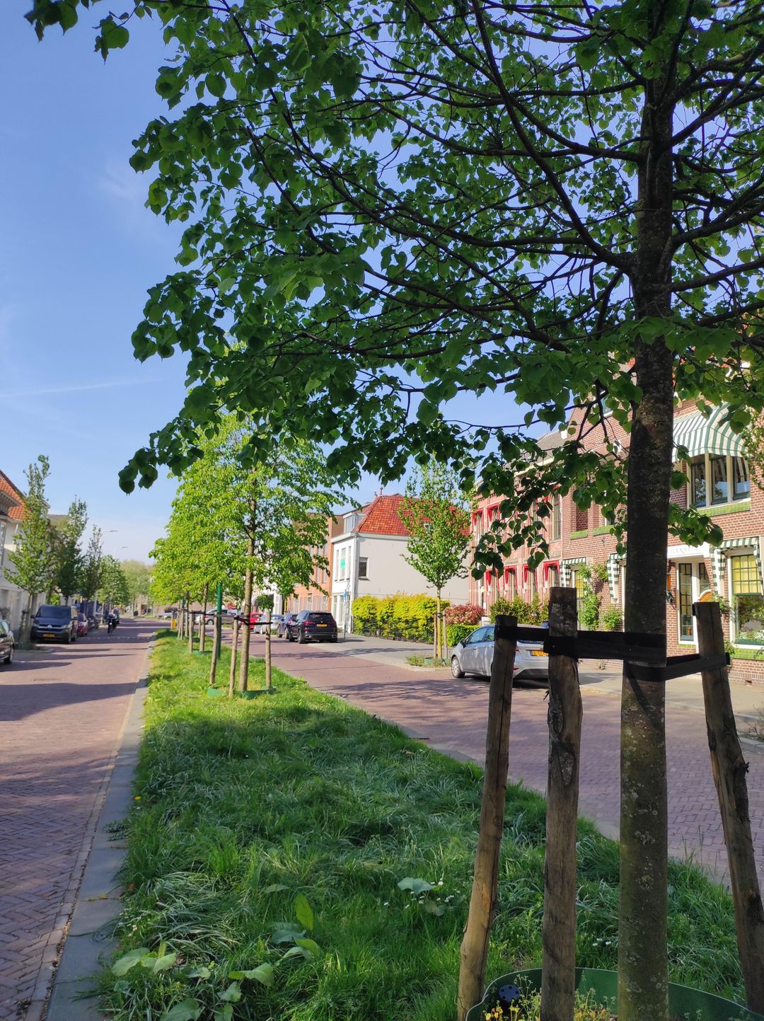 Photo 2 of Sint Maartenstraat 6-B