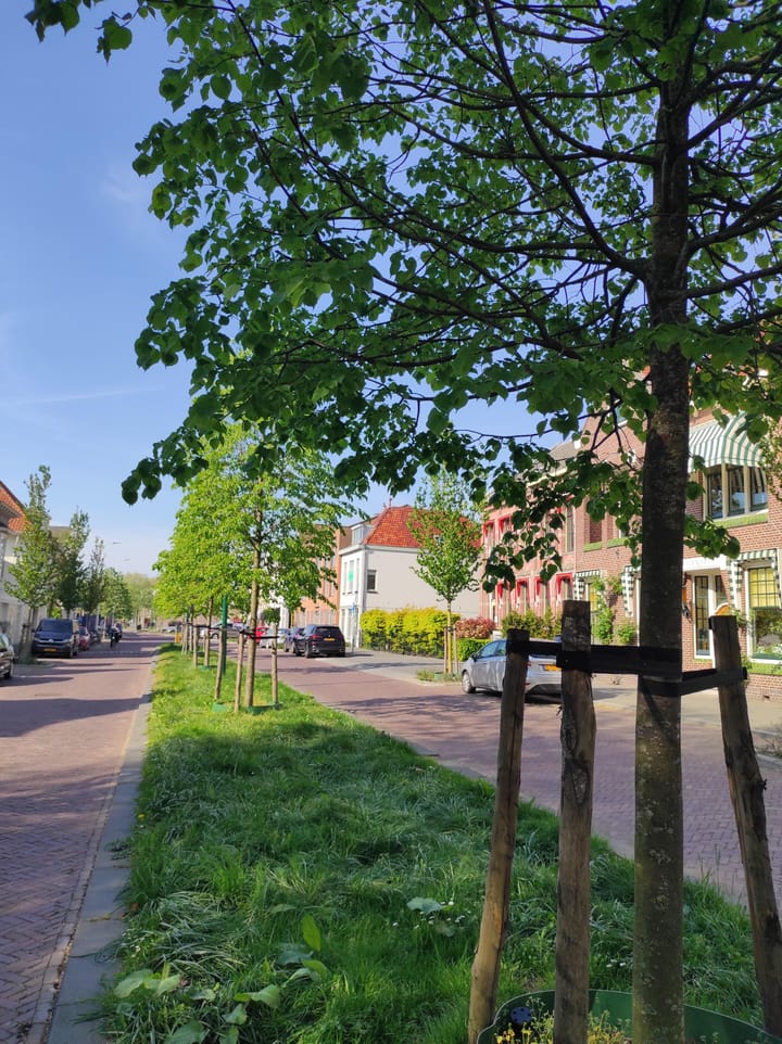 Foto 2 van Sint Maartenstraat 6-B