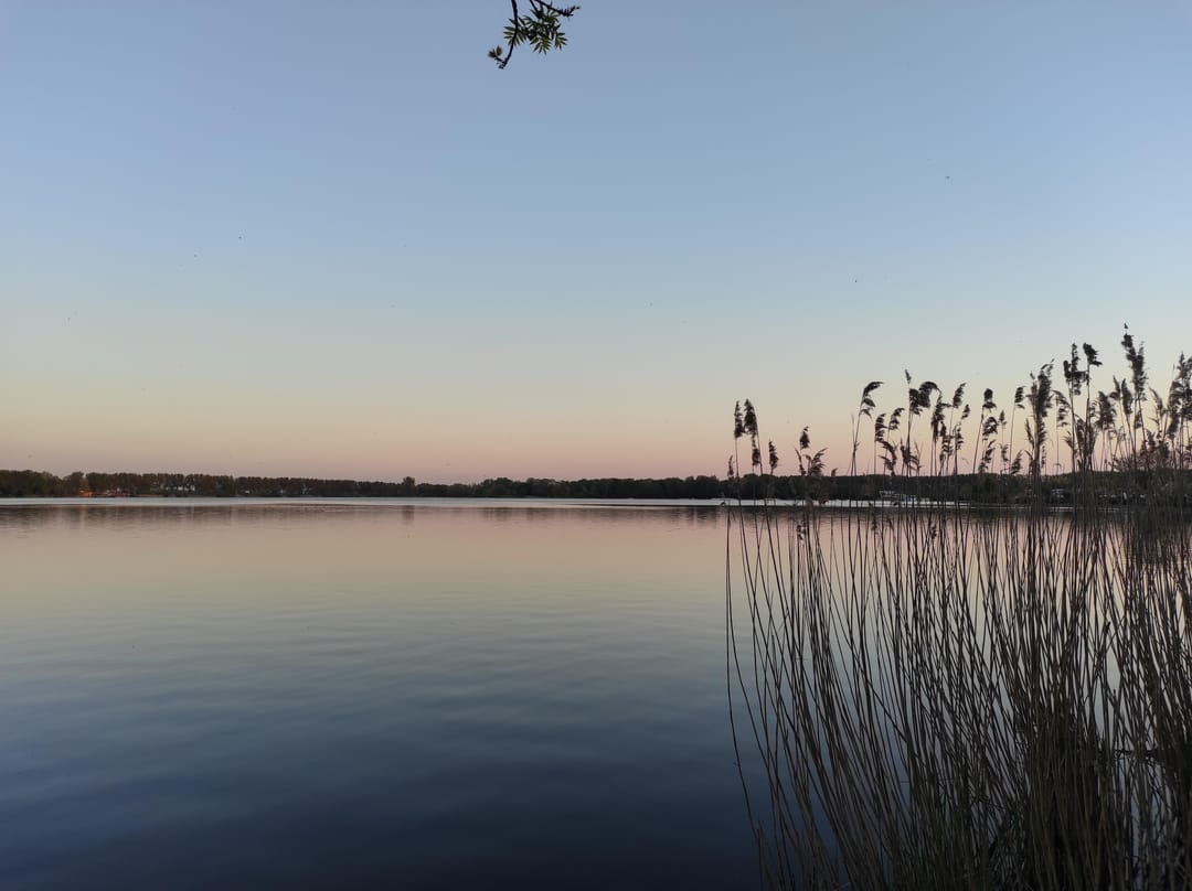 Photo 41 of Sint Maartenstraat 6-B