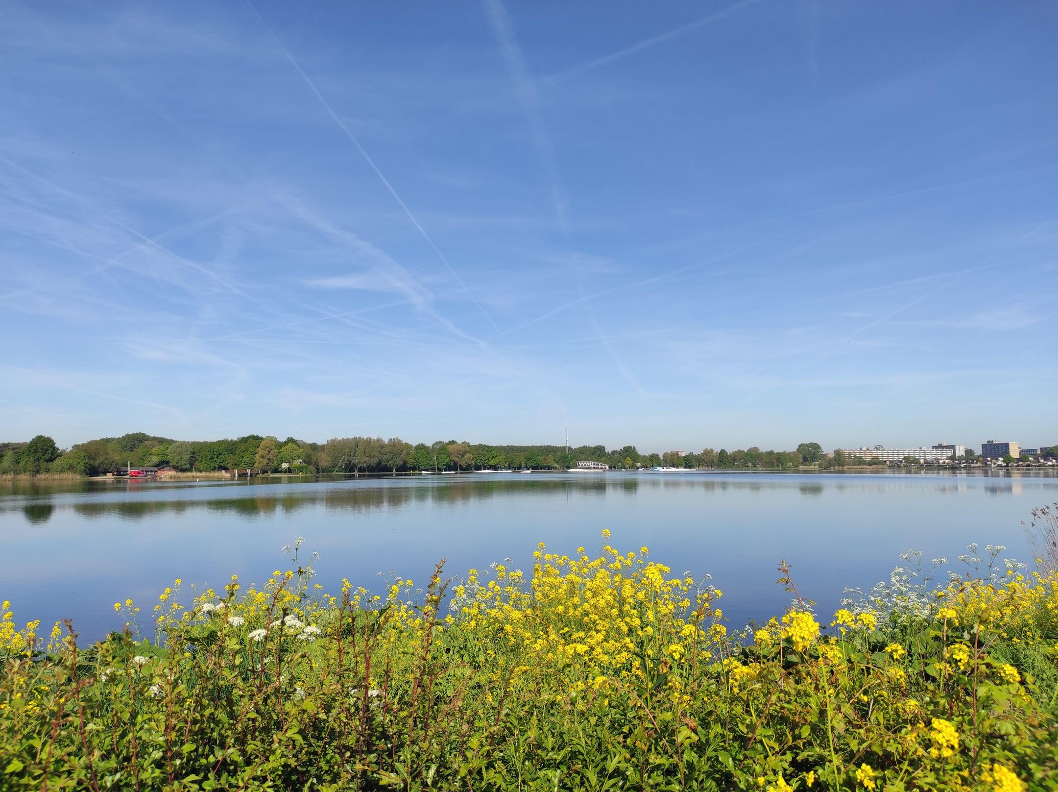 Photo 42 of Sint Maartenstraat 6-B