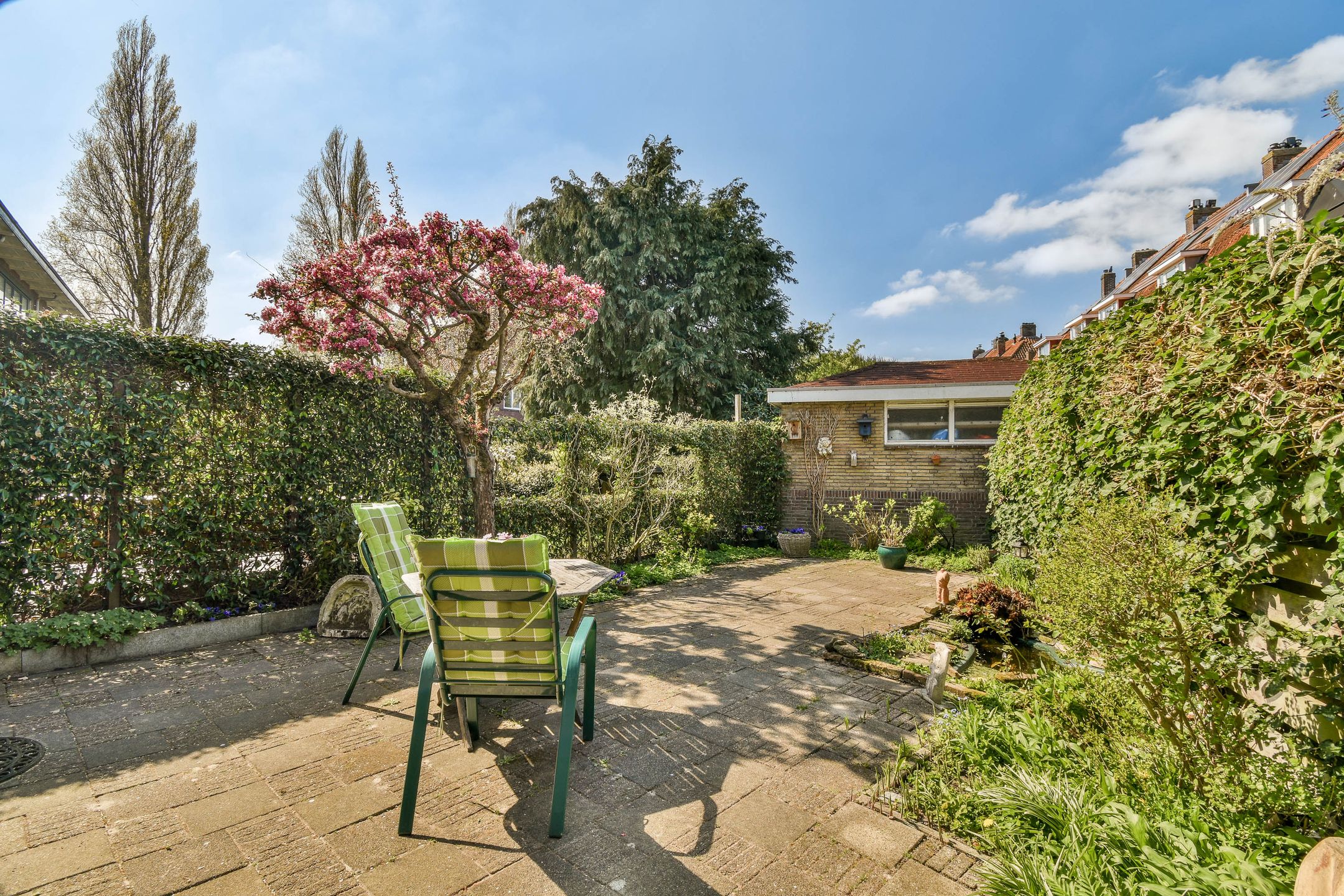 Photo 30 of Caspar Fagellaan 7