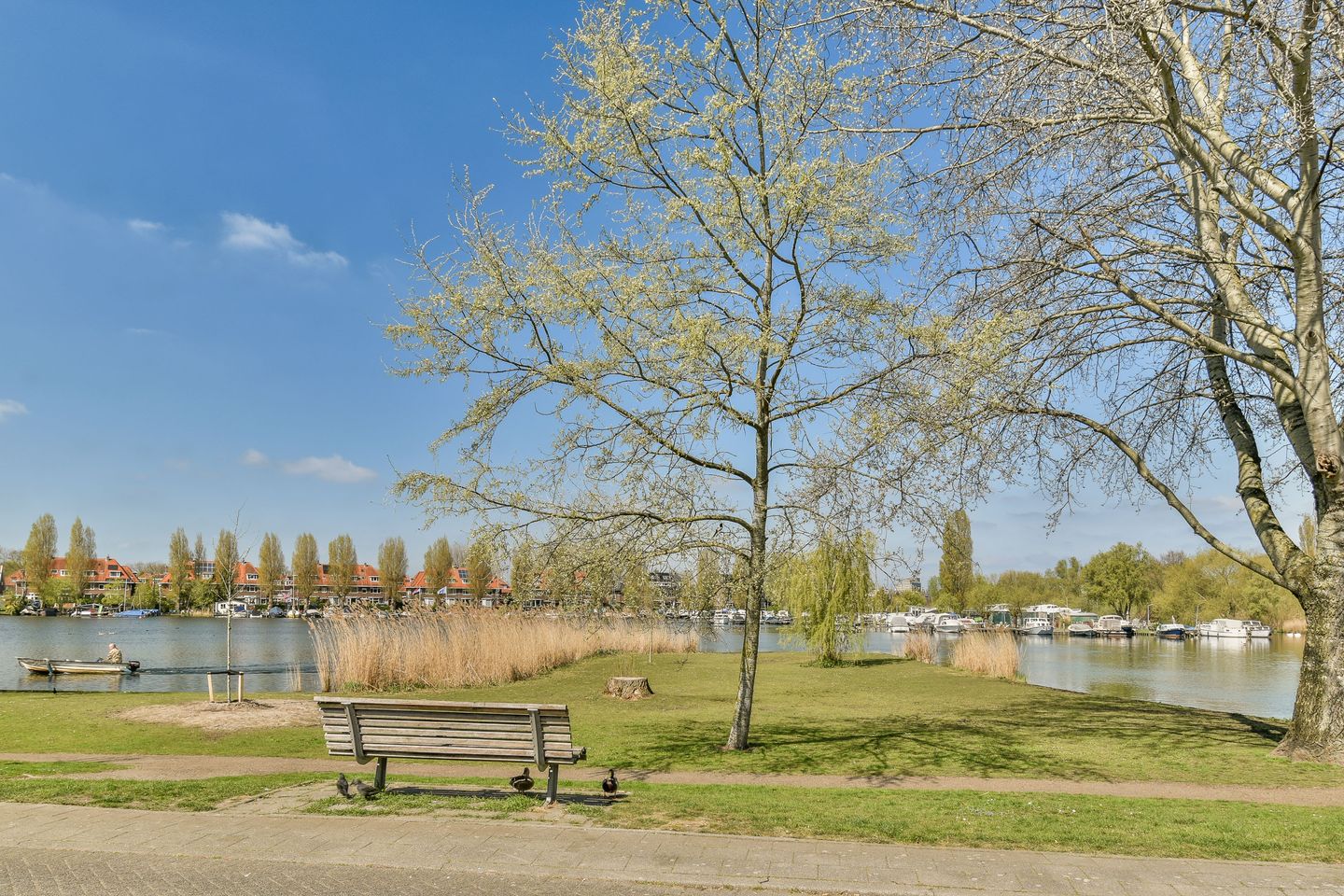 Photo 34 of Caspar Fagellaan 7