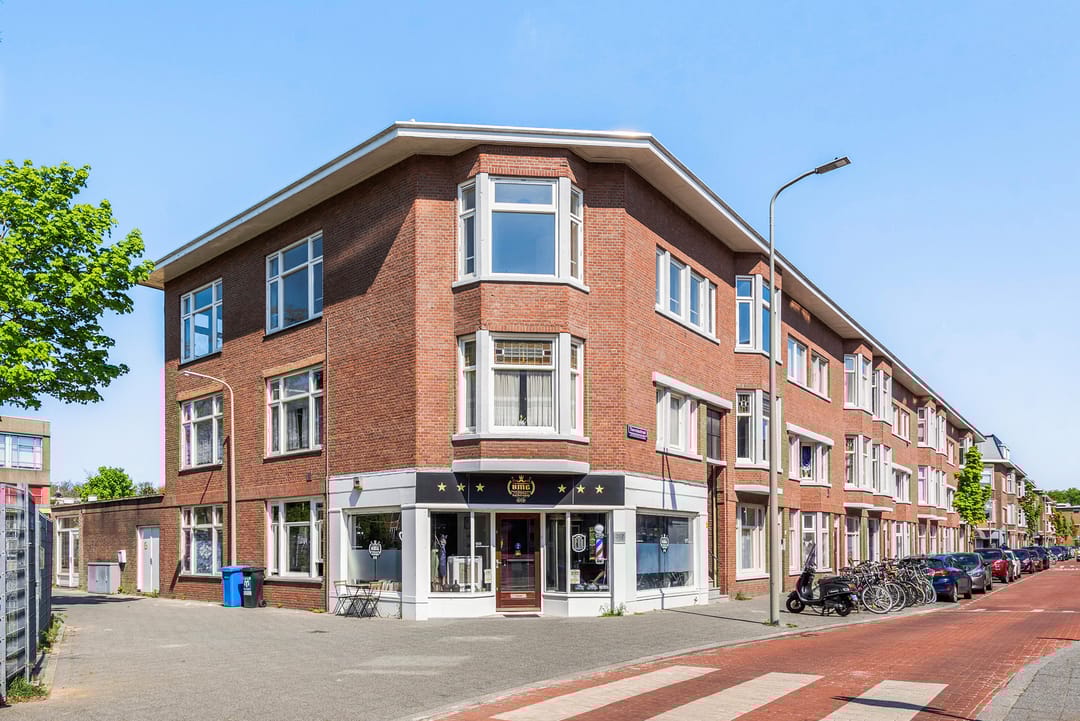 Foto 2 van Theresiastraat 316