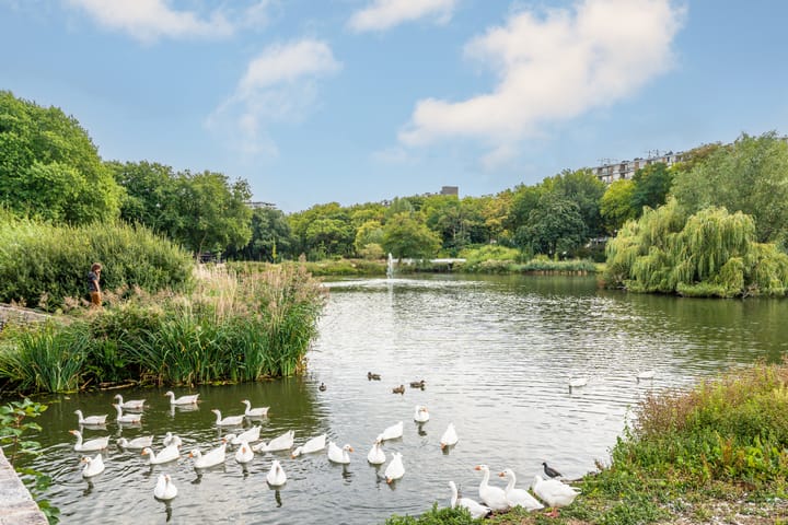 Foto 28 van Telderslaan 12