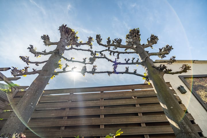 Foto 33 van Stadhouderslaan 2