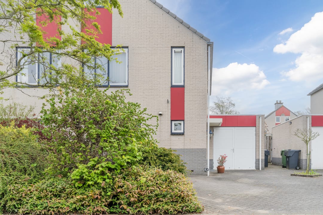 Foto 2 van Zwarte Dolfijn 45