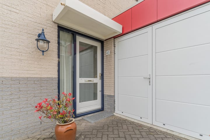 Foto 3 van Zwarte Dolfijn 45