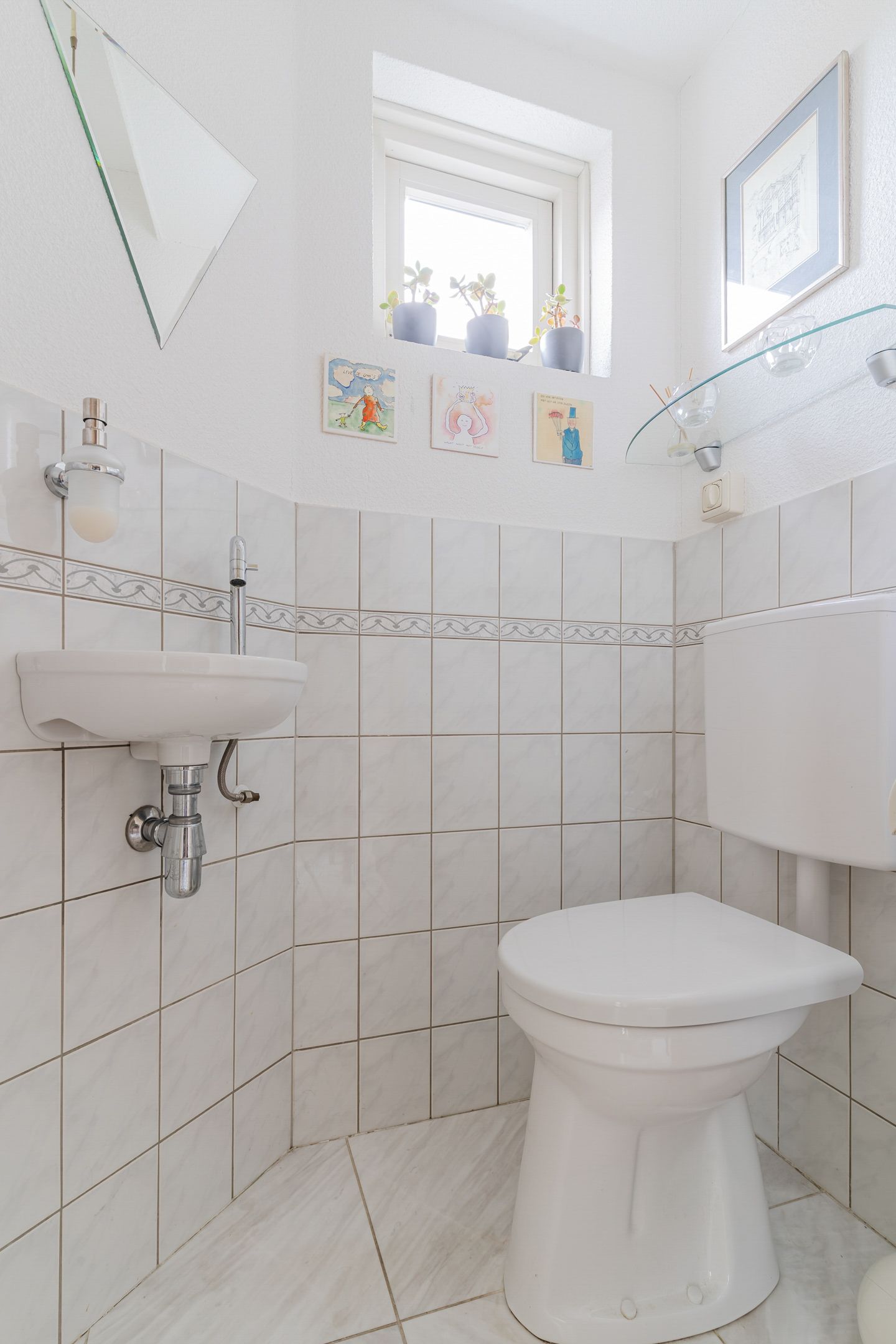 Foto 5 van Zwarte Dolfijn 45