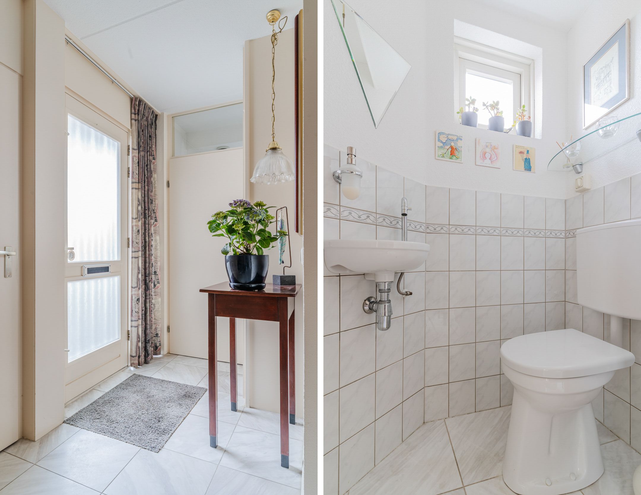 Foto 6 van Zwarte Dolfijn 45