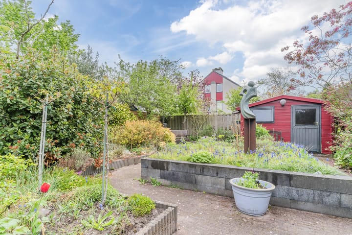 Foto 35 van Zwarte Dolfijn 45