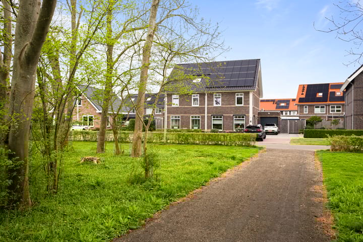 Foto 2 van Eikenhout 3