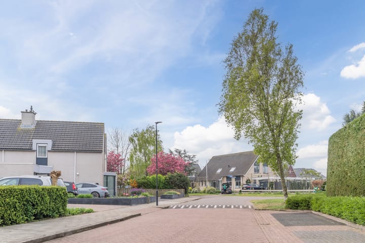 Foto 39 van Zwarte Dolfijn 45