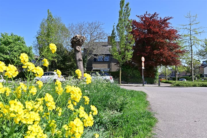 Foto 23 van Spoorlaan 56