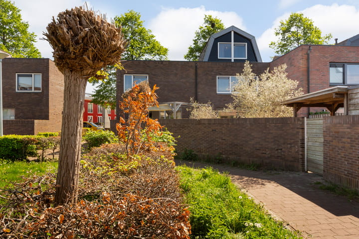 Foto 46 van Maassingel 76