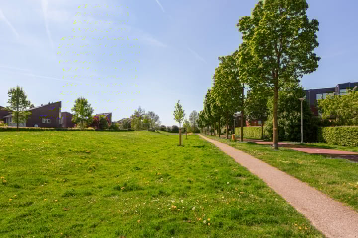 Foto 47 van Maassingel 76