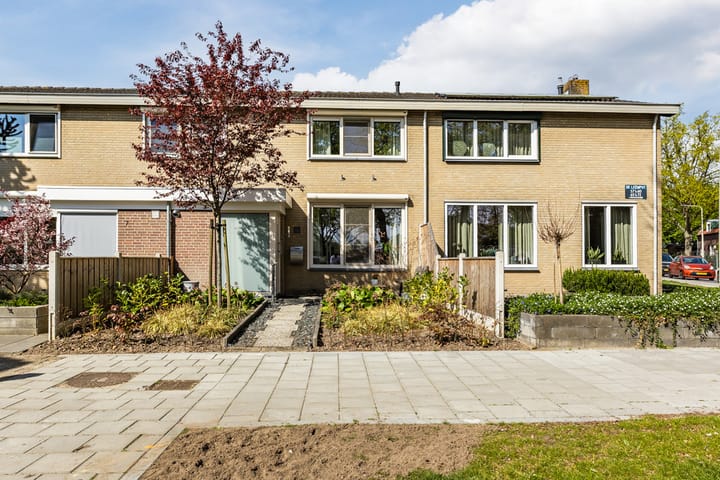 Foto 5 van de Leemput 6