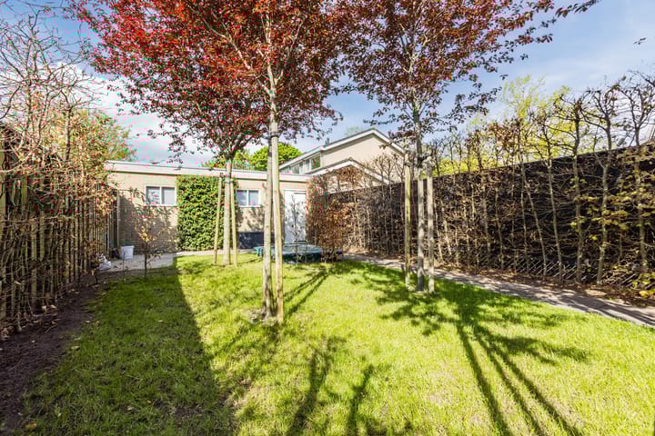 Foto 37 van de Leemput 6