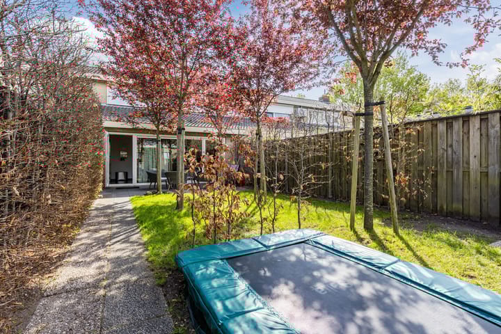 Foto 38 van de Leemput 6