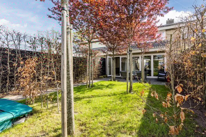 Foto 39 van de Leemput 6