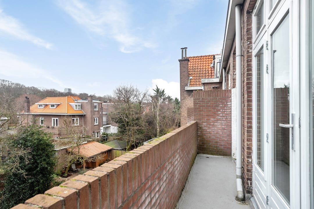 Foto 22 van Roelofsstraat 135