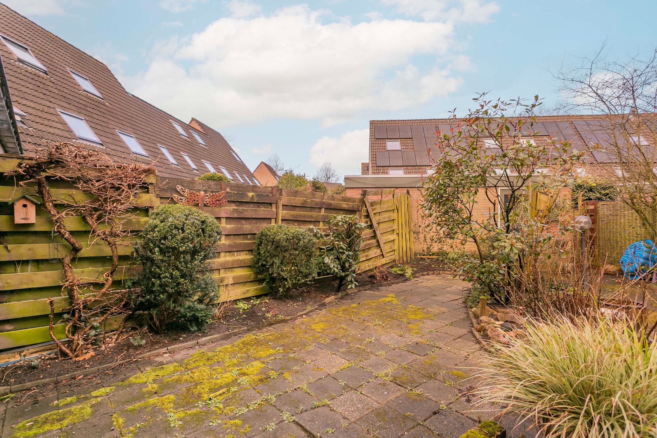 Foto 9 van Apolloburg 61