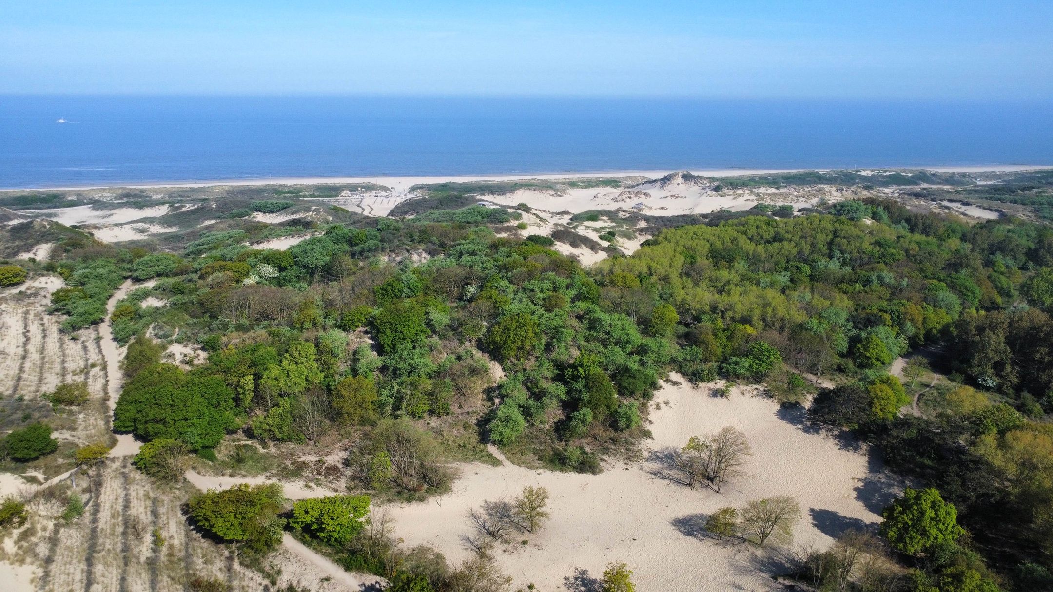 Foto 45 van Zeewindelaan 101