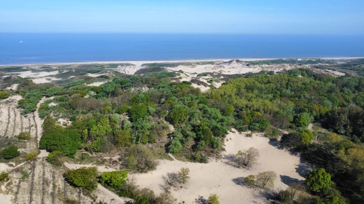 Photo 45 of Zeewindelaan 101