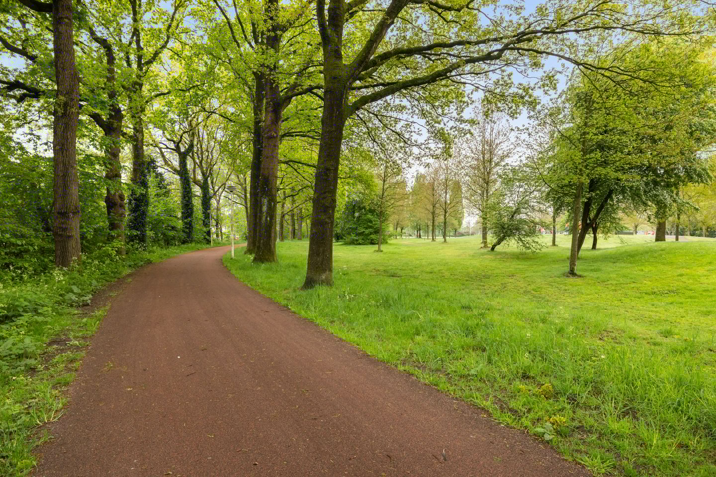 Foto 40 van Boomrijk 13