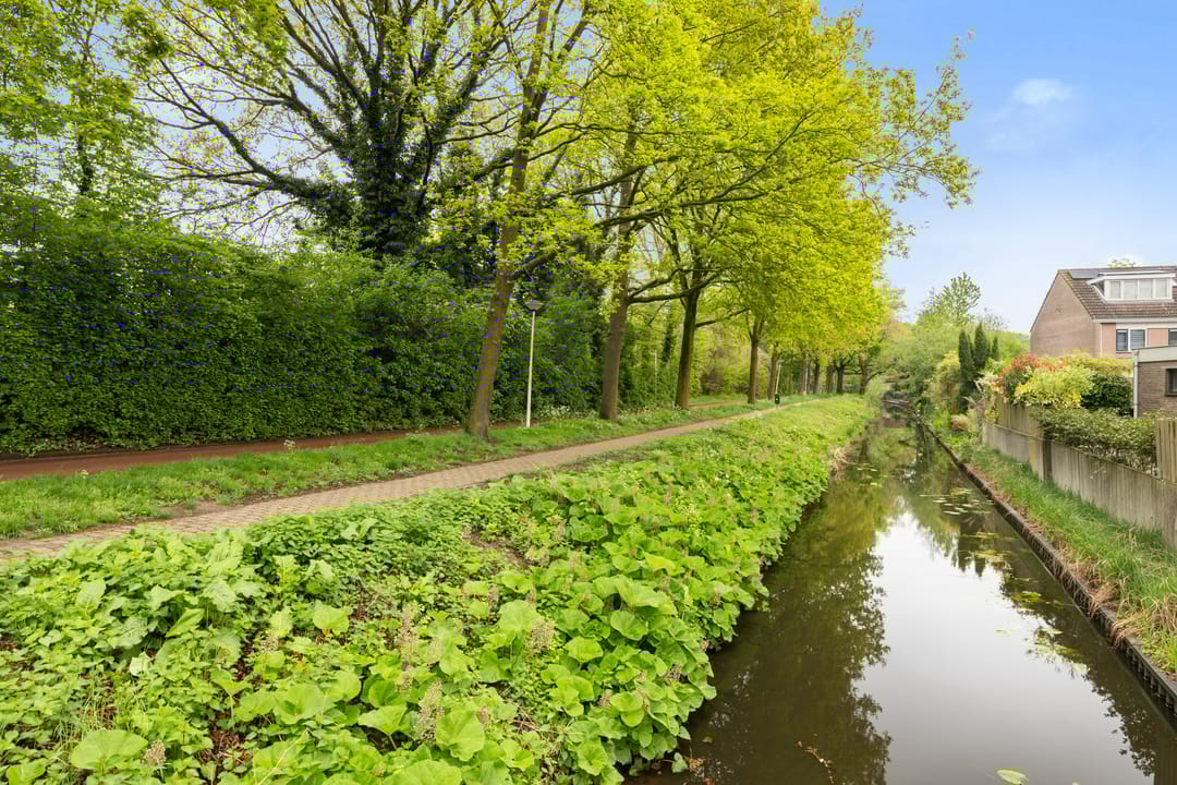 Foto 41 van Boomrijk 13