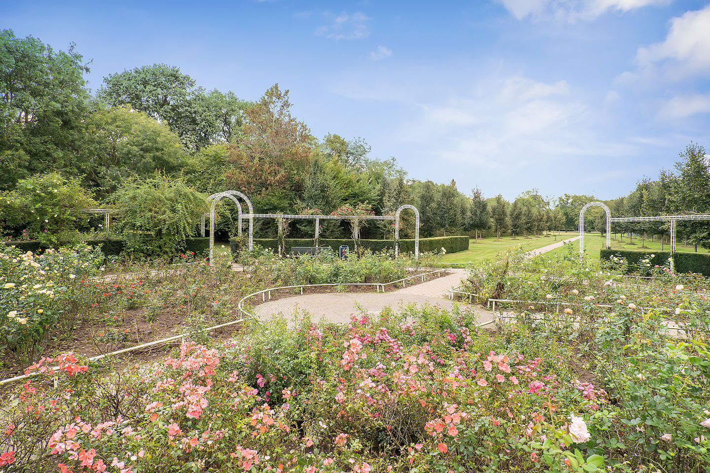 Foto 44 van Boomrijk 13