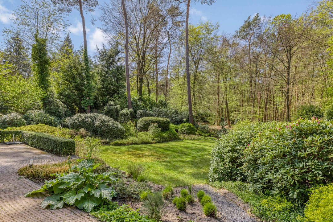 Foto 38 van Torenweg 17