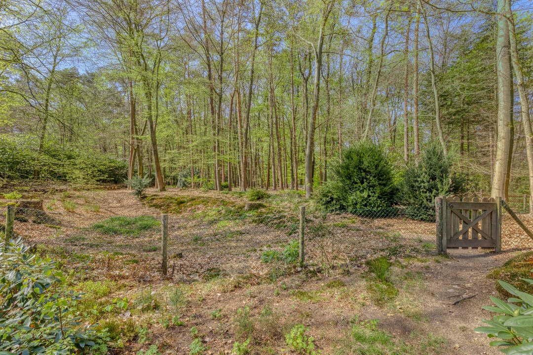 Foto 41 van Torenweg 17