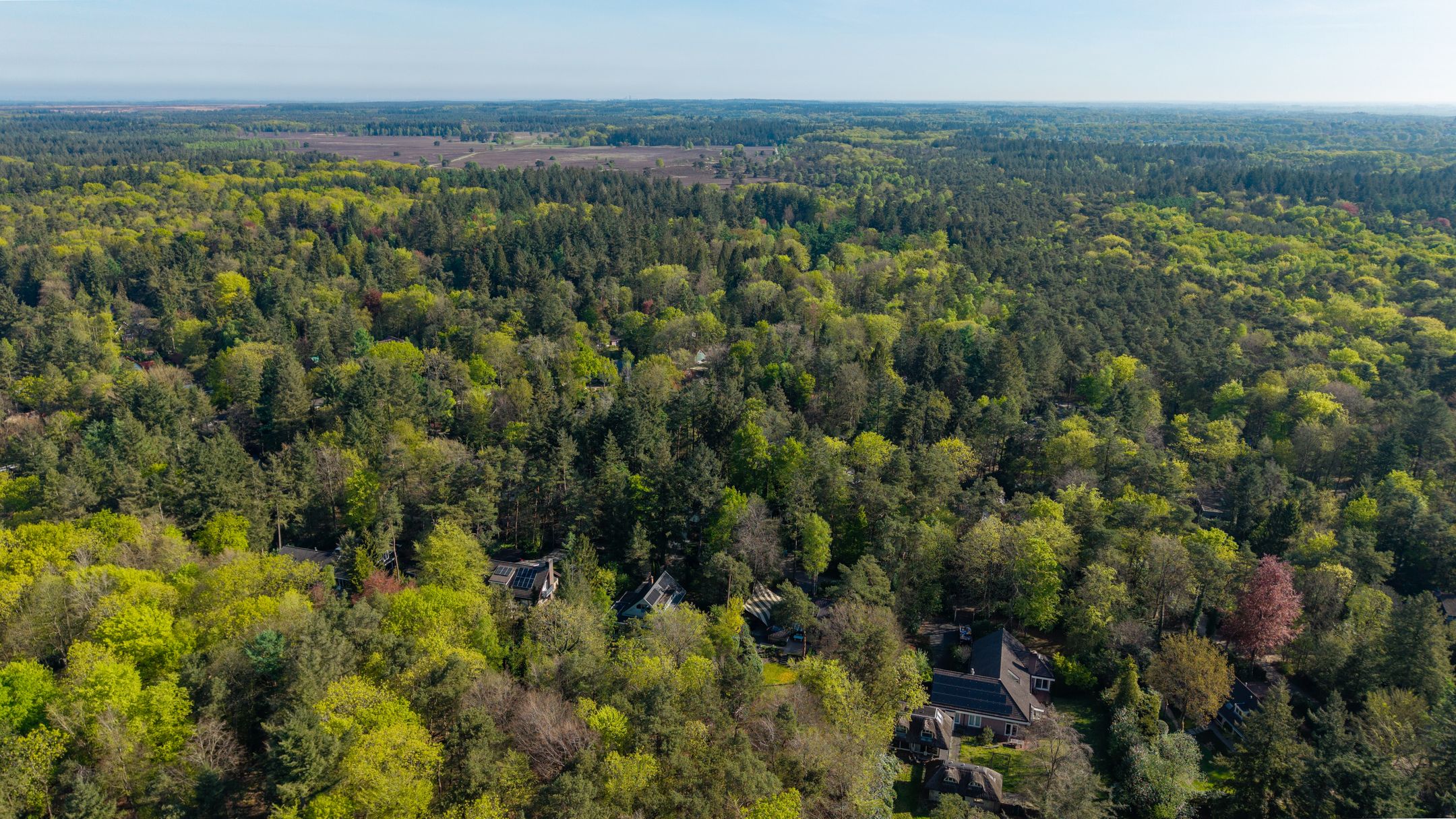 Foto 42 van Torenweg 17