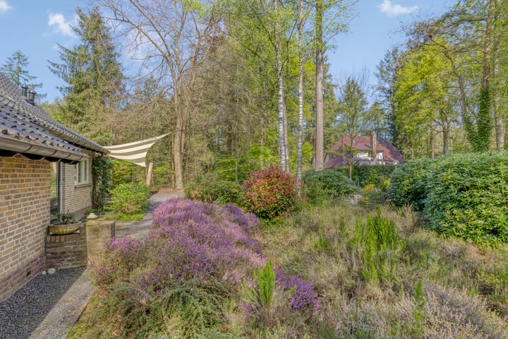 Foto 48 van Torenweg 17