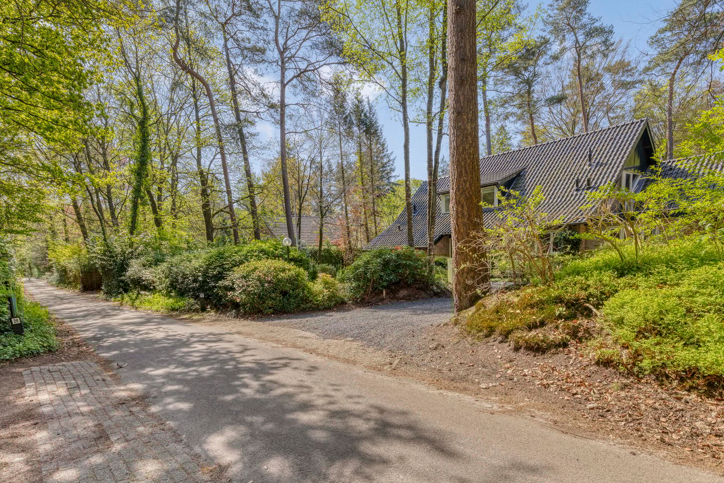 Foto 50 van Torenweg 17