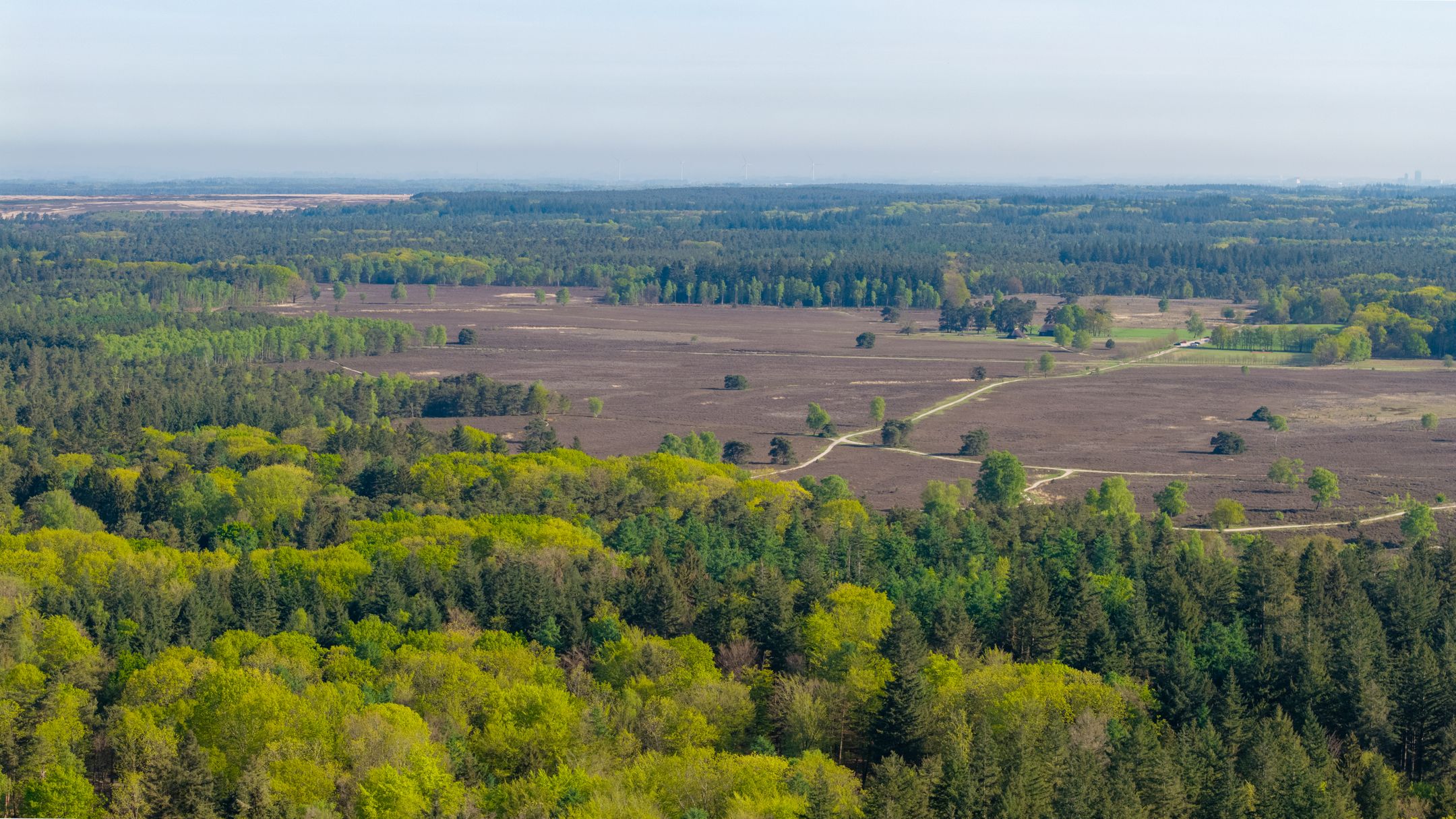 Foto 51 van Torenweg 17