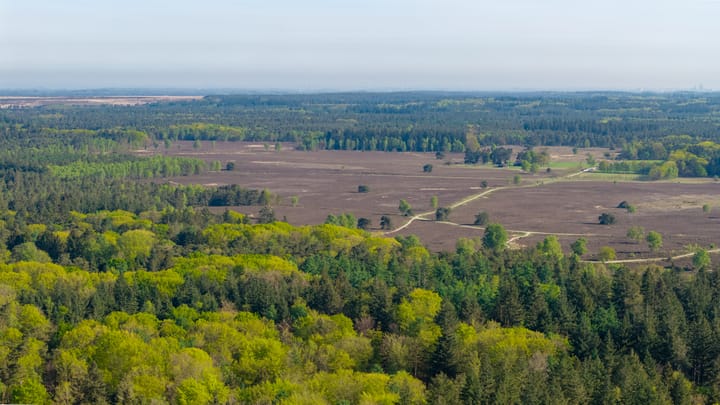 Foto 51 van Torenweg 17