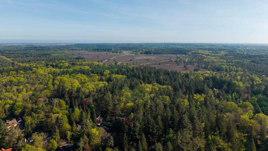 Foto 52 van Torenweg 17